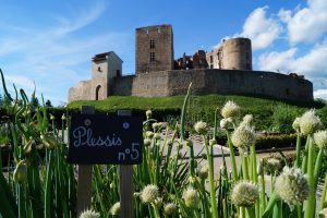 Château de Montrond les Bains