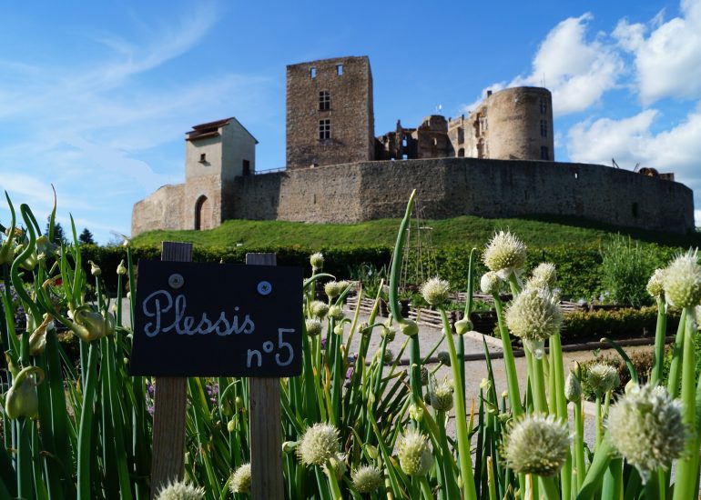 © Château de Montrond-les-Bains - OTFE