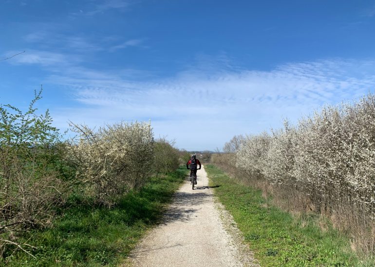 © Circuit de la ronde Nervirotte - OT FOREZ-EST