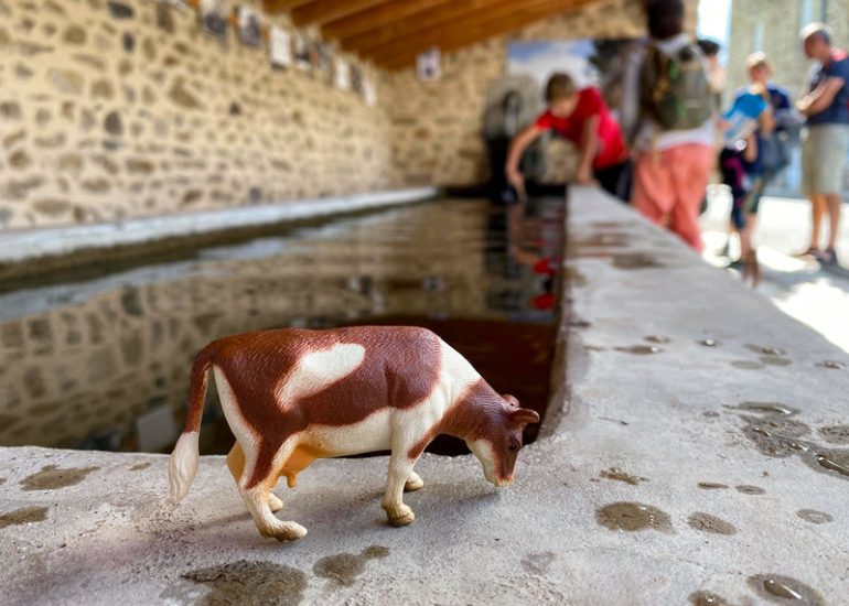 © Recherches vaches - Office de tourisme Loire Forez