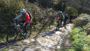 Le Vieil Ecotay - Circuit VTT en Forez