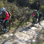 © Le Vieil Ecotay - Circuit VTT en Forez - Azimut