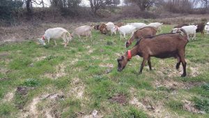 La ferme du pré joli