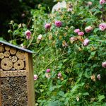 © Le jardin des plantes à couleurs - OTFE