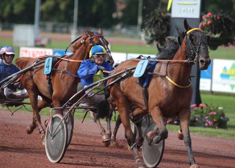 © Courses hippiques - OT Forez-Est