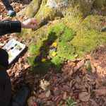 © Animation Land'art - OT Forez-Est