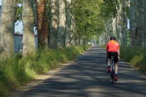 Boucle cyclable F6 : les étangs de Feurs à vélo