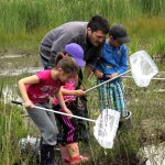 © Bird Gravel Pit - Cindy Molinaro - David Roux - Roannais Agglomération