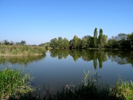 La Gravière aux Oiseaux