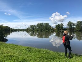 14ème marche en bordure de Loire