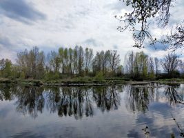 Marche des bords de Loire