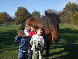 Kinderunterkunft la Ferme du Tilleul