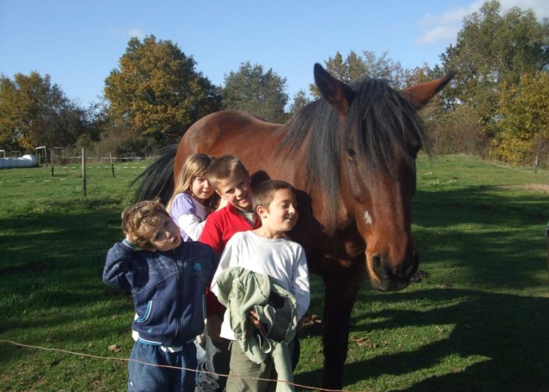 © Kinderunterkunft la Ferme du Tilleul - Mme Lyonnet