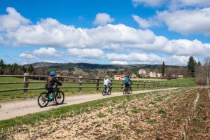 Entretien et location de VTT et VTTAE - REVE BIKE