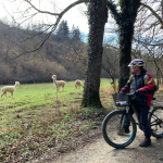 © Circuit VTT - Les fermes fortifiées - OT Forez-Est