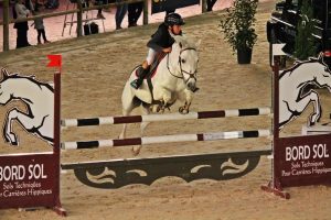 Cours d'équitation