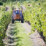 © Le Clos de Chozieux - Le Clos de Chozieux