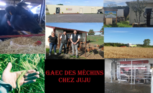 Chez Juju - Gaec des Méchins