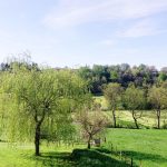 © Gästezimmer - Les Noisetiers - Chambres d'hôtes - Les Noisetiers