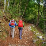 © Initiation à la marche nordique au vieil Ecotay - Pixabay