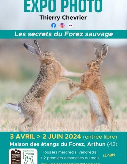 © Les secrets du Forez sauvage par Thierry Chevrier - Maison des étangs Réserve de Biterne