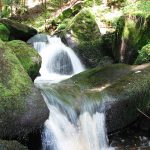 © Randonnée à la cascade - Anne Massip - OT Loire Forez