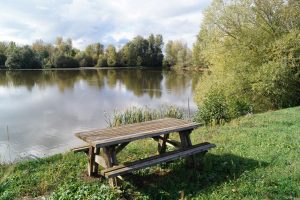 Aire de pique-nique - Bords de Loire