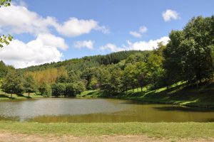 Etang de Néronde