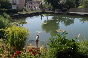 Etang du jardin public