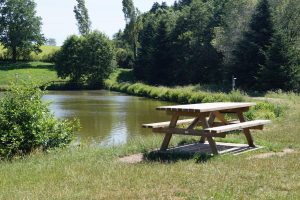 Aire de pique-nique de l'étang du Vernay