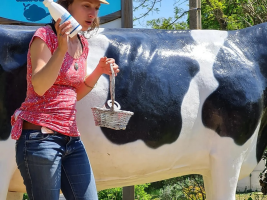 Le petit marché du glacier