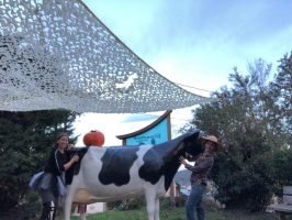 Halloween à La Ferme des délices !