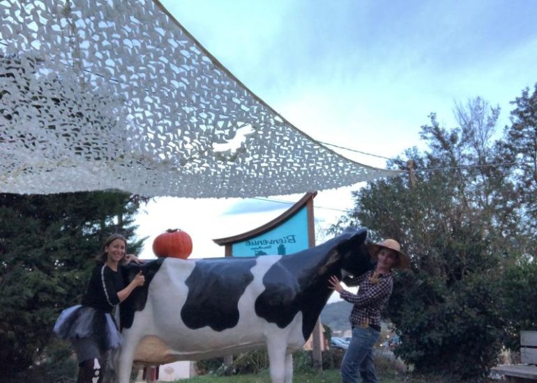 © Halloween à La Ferme des délices ! - FDD