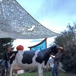 © Halloween à La Ferme des délices ! - FDD