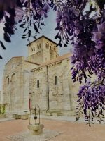 Visites accompagnées - Eglise et prieuré de Champdieu
