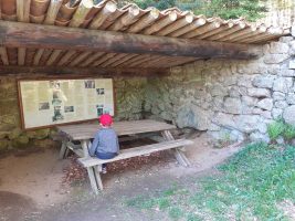 Aire de pique du four à poix