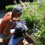 © Summer season - ecomusée des monts du Forez