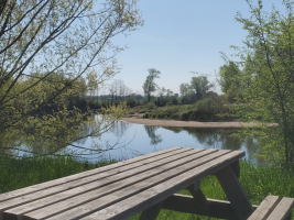 Aire de pique-nique - Bords de Loire