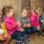 Visite de tous les animaux de la ferme