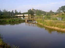 Etang Brenot - Plan d'eau touristique