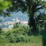 © Sentier Les Pins Montagne - OT FOREZ-EST