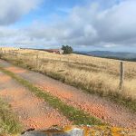 © 40ème randonnée de la fourme - Randonneurs Montbrisonnais