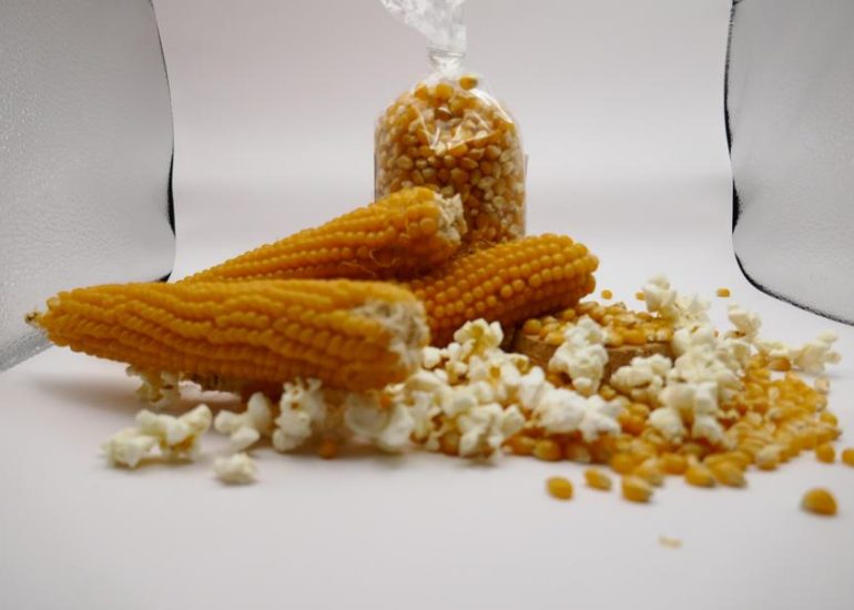 © Top pop corn - La visite gonflée - FDD