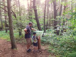 Botanischer Weg von La Chapelle-en-Lafaye