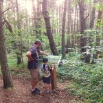 © Sentier du marais - Anne Massip