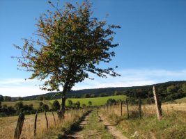 Le Vallon de la Vidresonne - PR 51