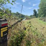 © Circuit de la tour - OT FOREZ-EST
