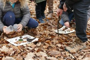 Petites bêtes pas si bêtes - atelier plein air