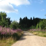 © Piste du Roy - Anne Massip