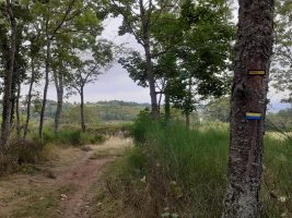 Entre Beauvoir et Les plats - PR 52